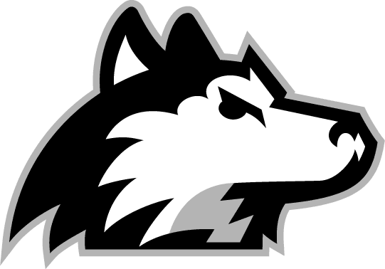 Northern Illinois Huskies 2001-Pres Alternate Logo v7 diy iron on heat transfer